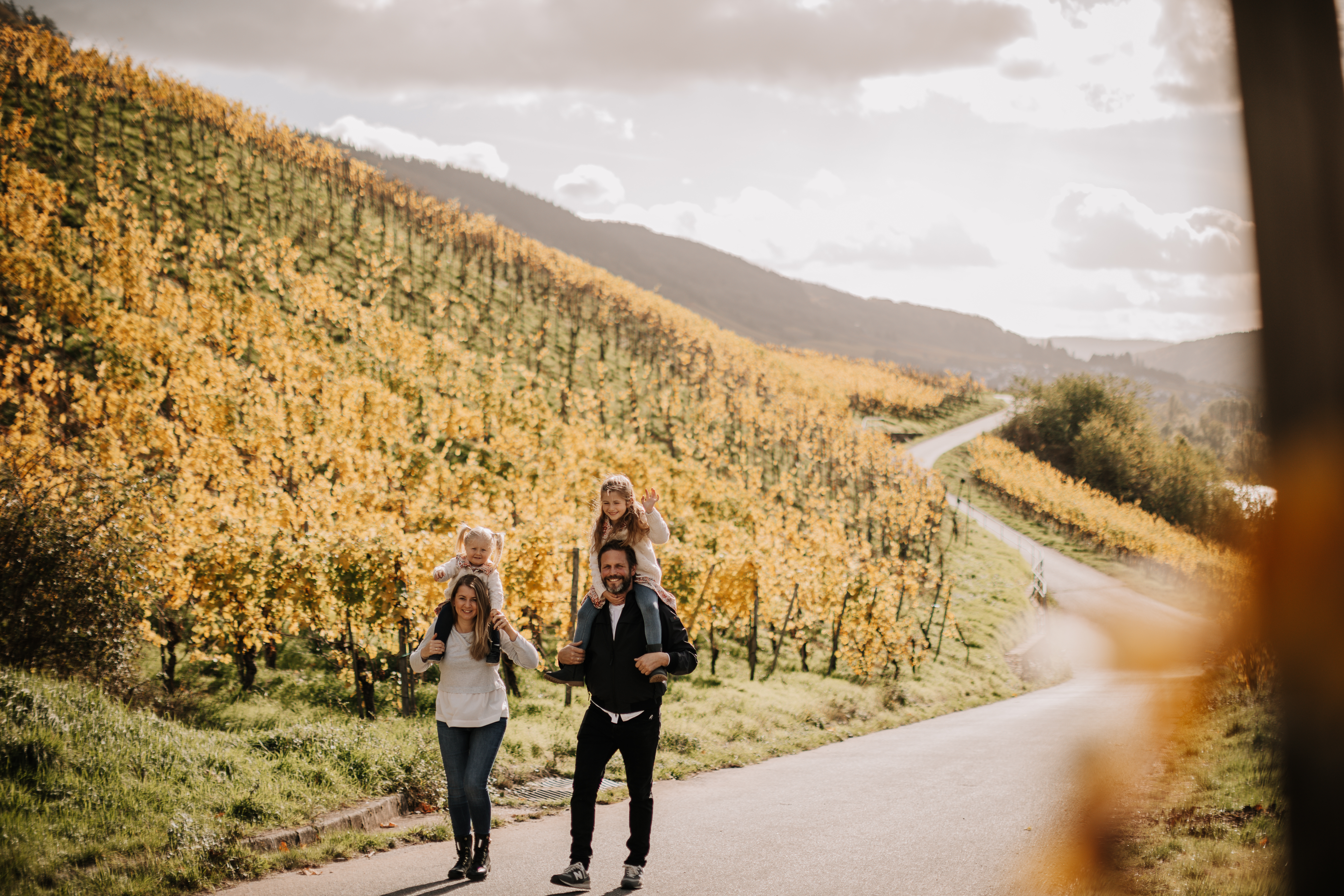 Weingut Julius Treis