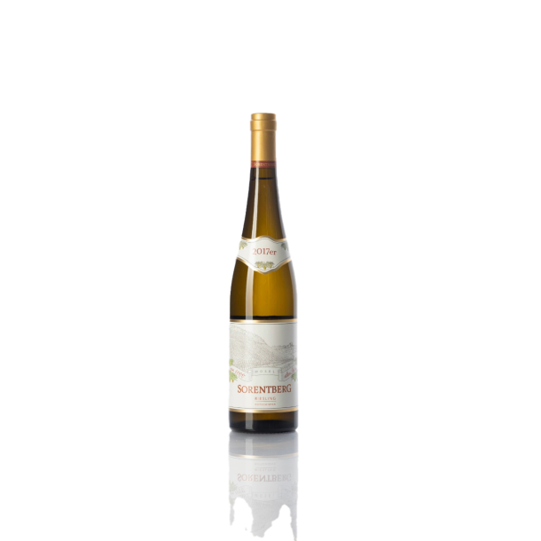 Riesling Rotschiefer - Sorentberg